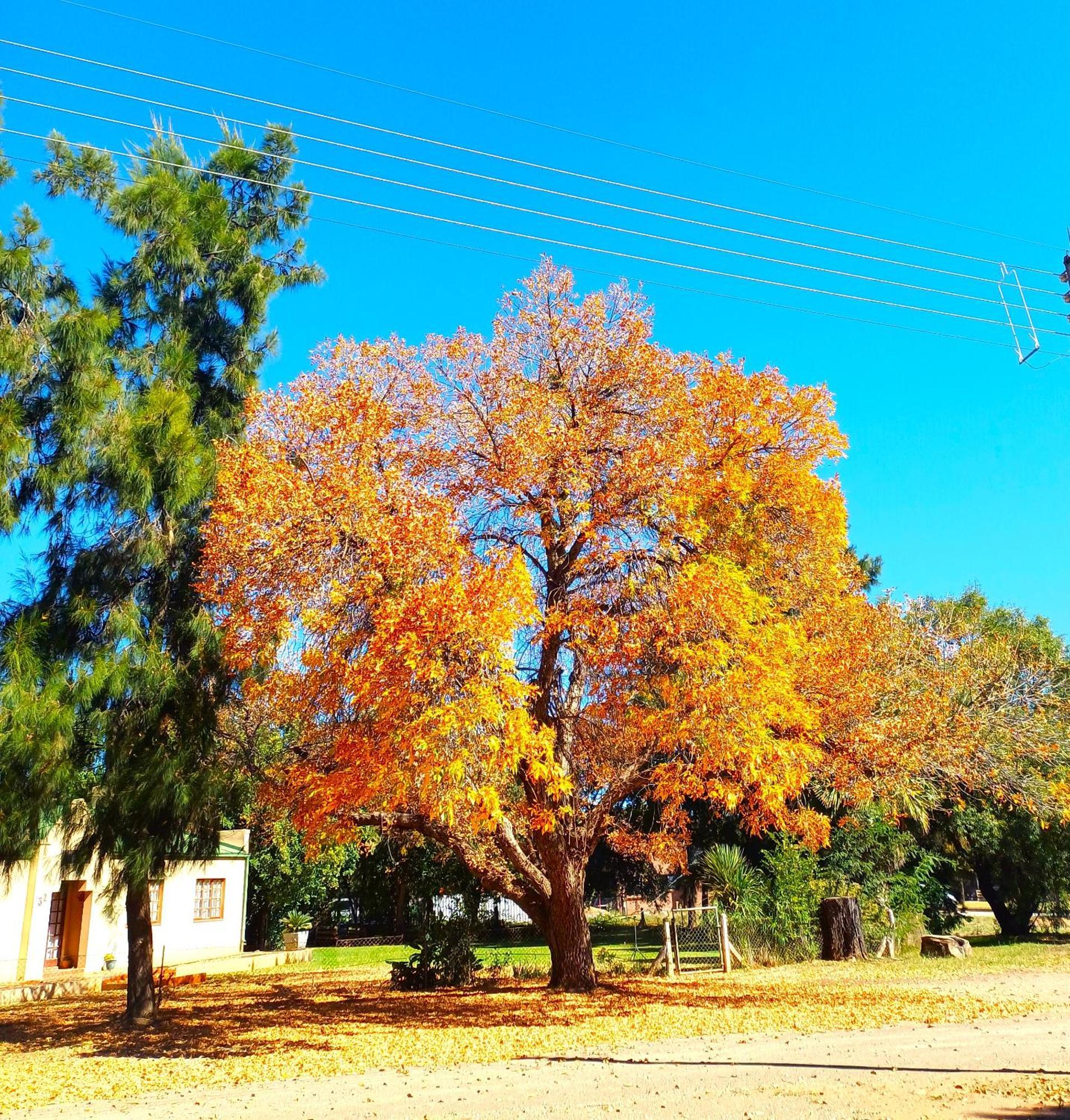 Sonvanger Selfcatering Orania Exterior foto